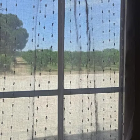 Bauernhof L' Annunziata *