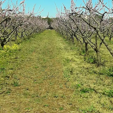 L' Annunziata Vakantieboerderij *